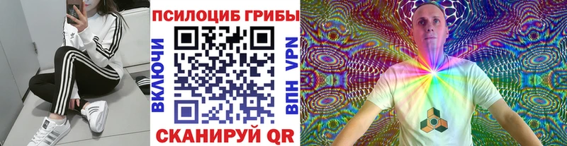 Псилоцибиновые грибы ЛСД Бронницы